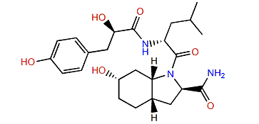 Aeruginosin 298B